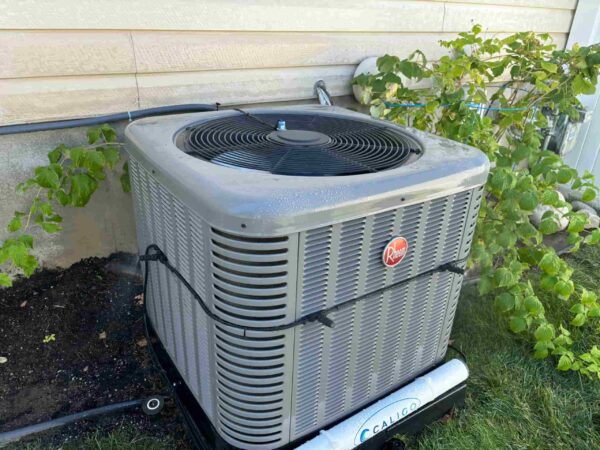 Caligo AC Mister + Installation
